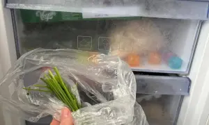 Pęczek zielonego szczypiorku w folii, gotowy do zamrożenia. W zamrażarce widać też kolorowe kostki lodu i opakowanie "Vegan". Czy szczypiorek można mrozić? Tak!