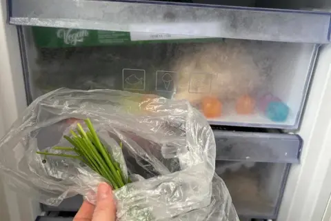 Pęczek zielonego szczypiorku w folii, gotowy do zamrożenia. W zamrażarce widać też kolorowe kostki lodu i opakowanie "Vegan". Czy szczypiorek można mrozić? Tak!
