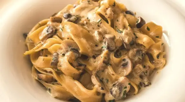 Pappardelle z kremowym sosem i kawałkami pieczarek, posypane natką pietruszki. Pyszny makaron z pieczarkami w białym talerzu.