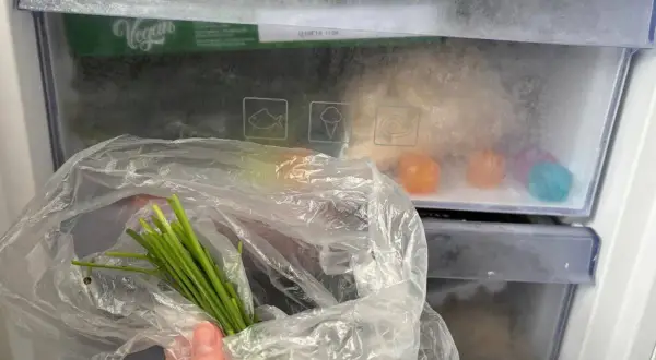 Pęczek zielonego szczypiorku w folii, gotowy do zamrożenia. W zamrażarce widać też kolorowe kostki lodu i opakowanie "Vegan". Czy szczypiorek można mrozić? Tak!