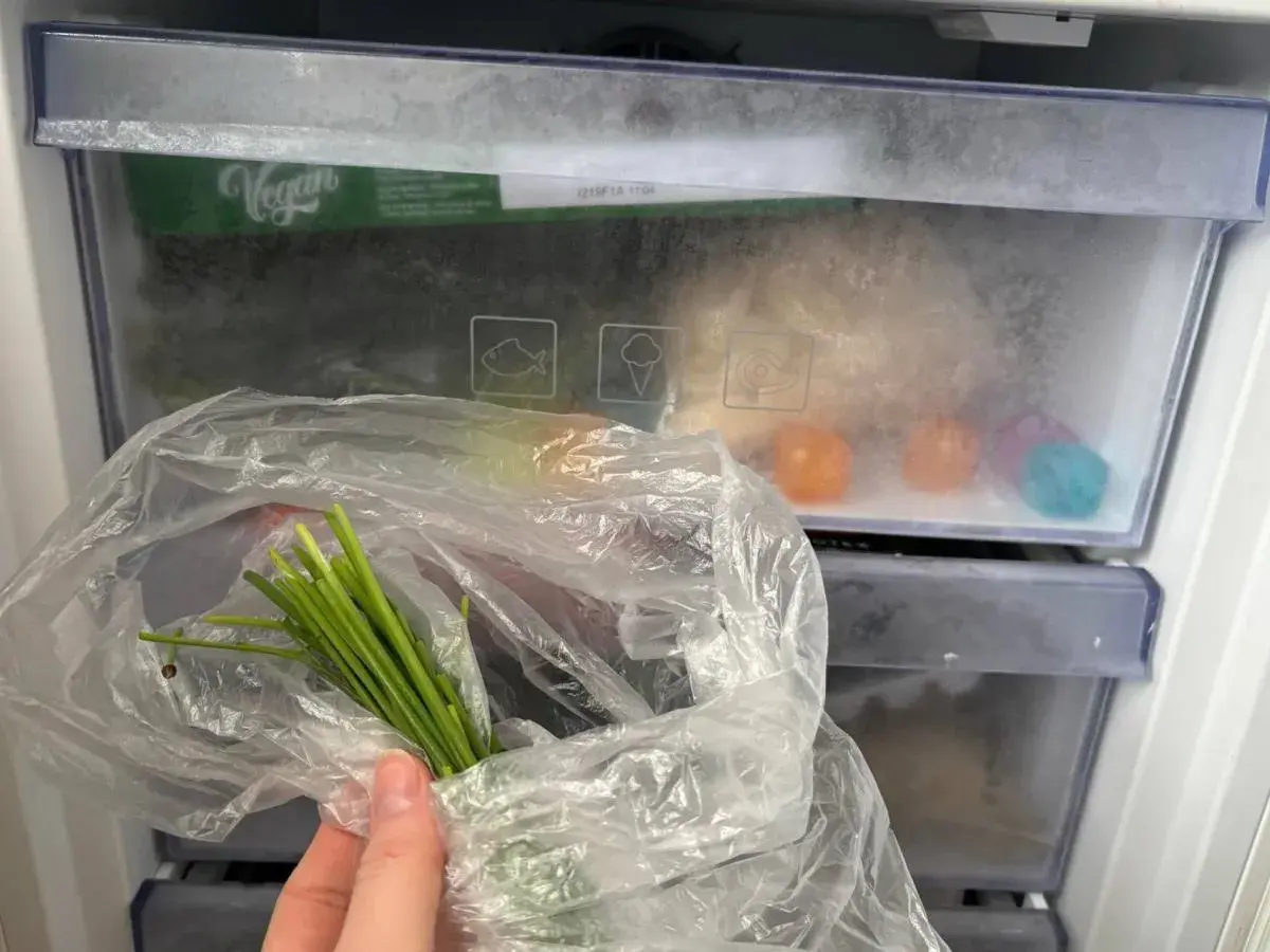 Pęczek zielonego szczypiorku w folii, gotowy do zamrożenia. W zamrażarce widać też kolorowe kostki lodu i opakowanie "Vegan". Czy szczypiorek można mrozić? Tak!